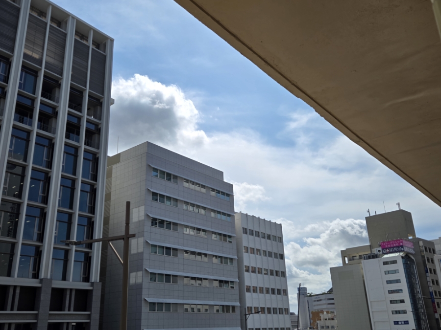 c822b47798169.jpg