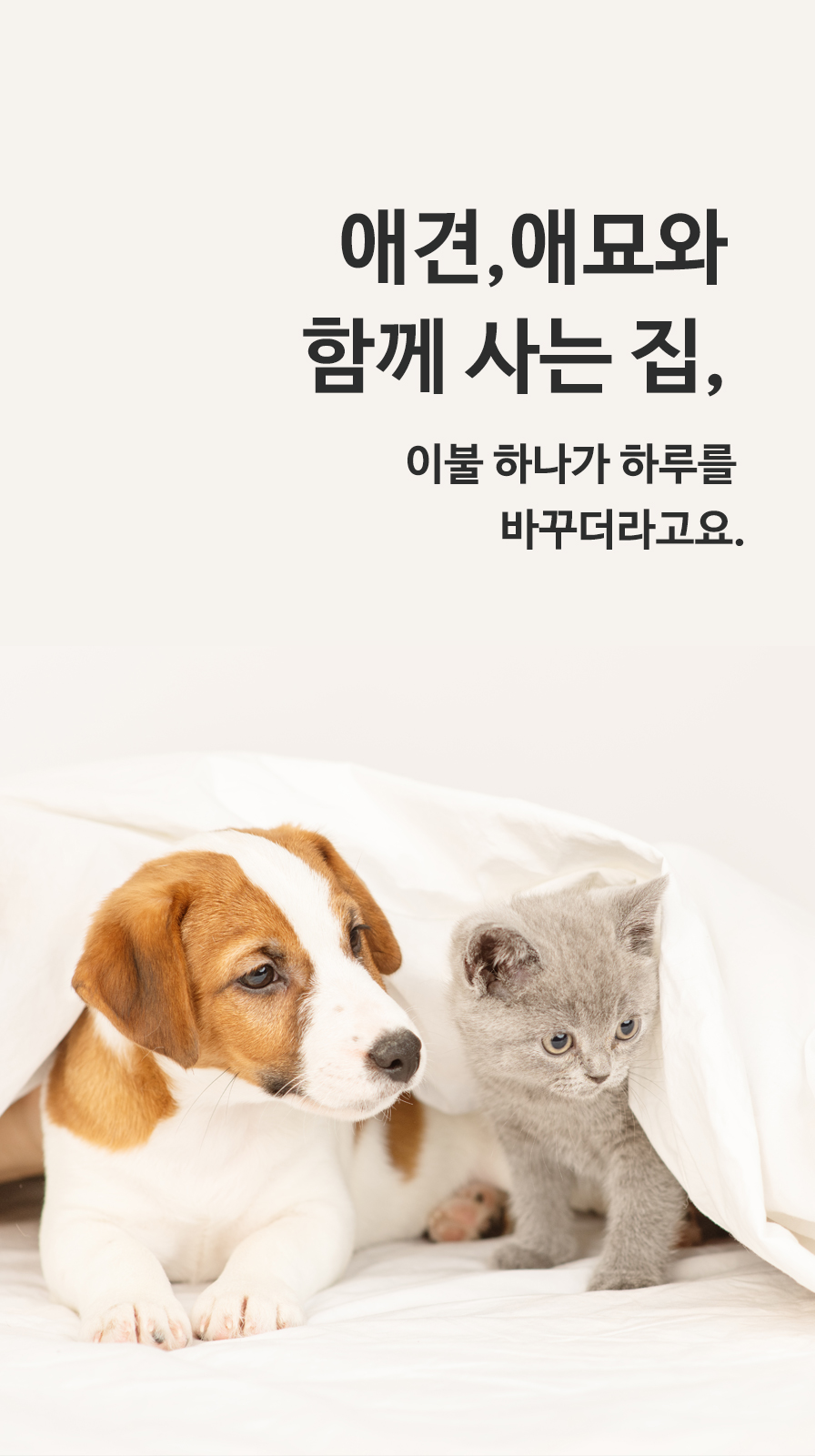 447dae1aae965.jpg