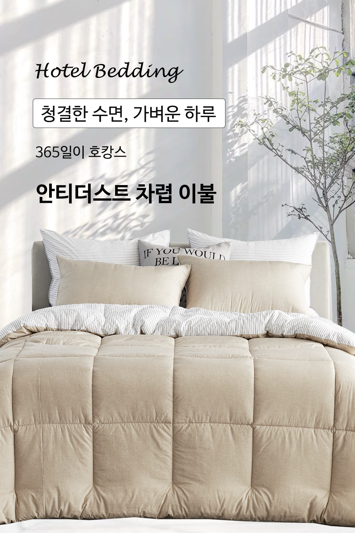 알러지케어이불 모달이불 사계절 먼지없는이불 모음