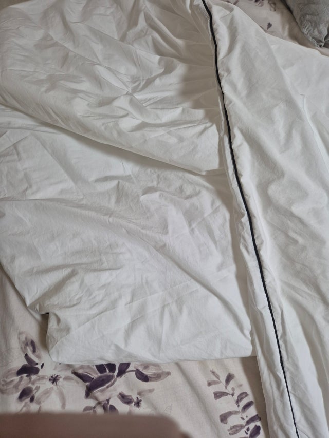 99e6deab35f6a.jpg