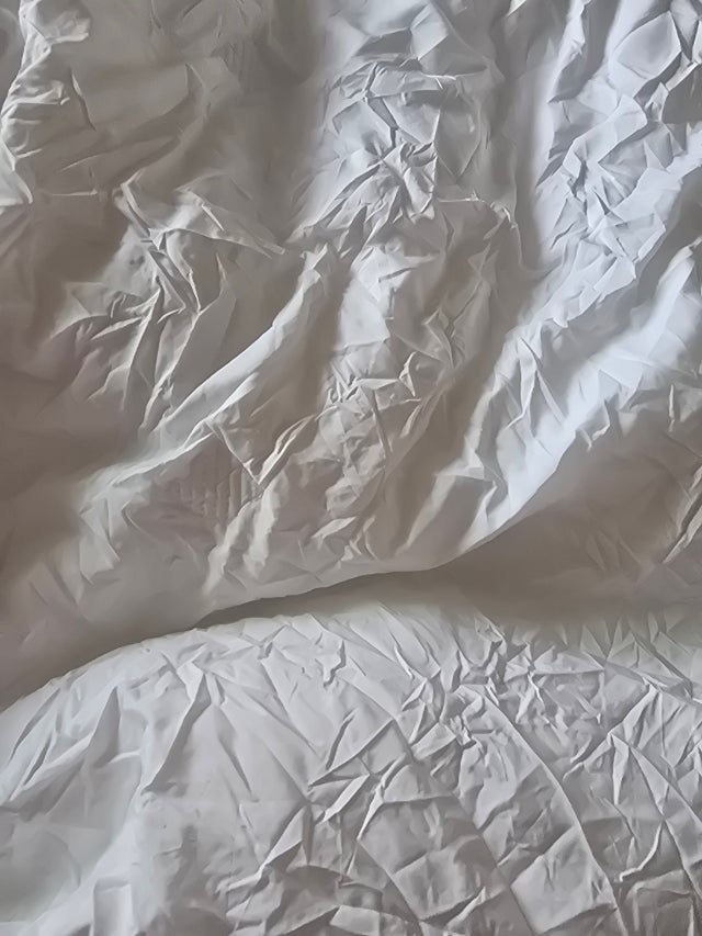 3d1c0443fa919.jpg