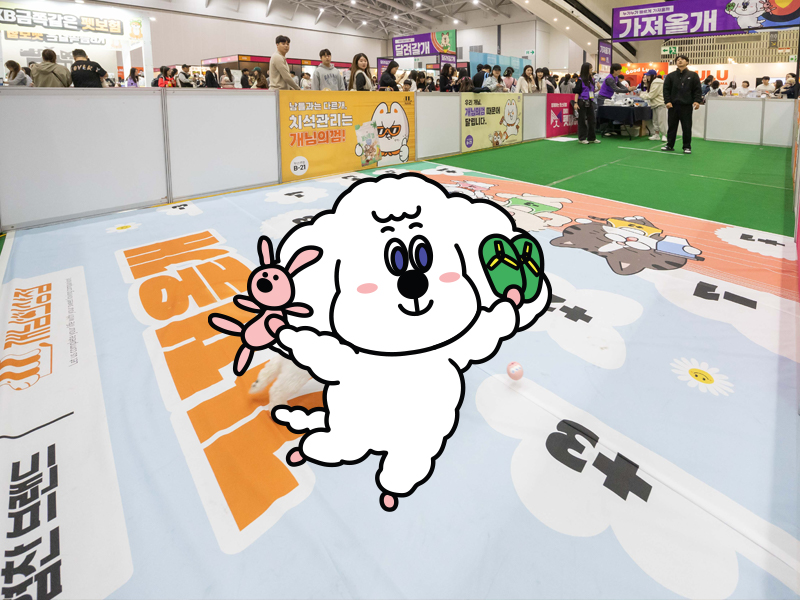 가져올개