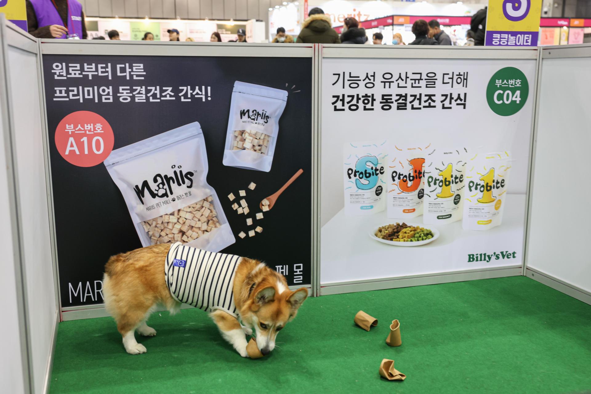킁킁놀이터