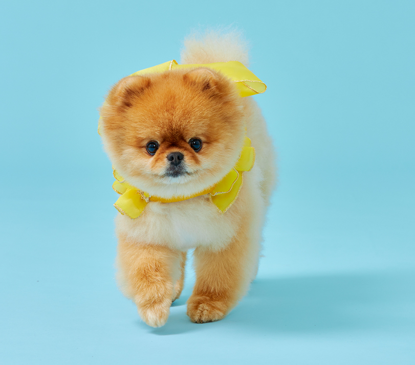 92f93500c1a68.png