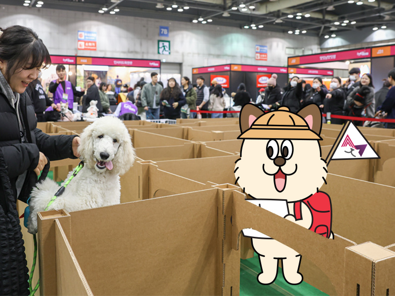 도전하개 이미지