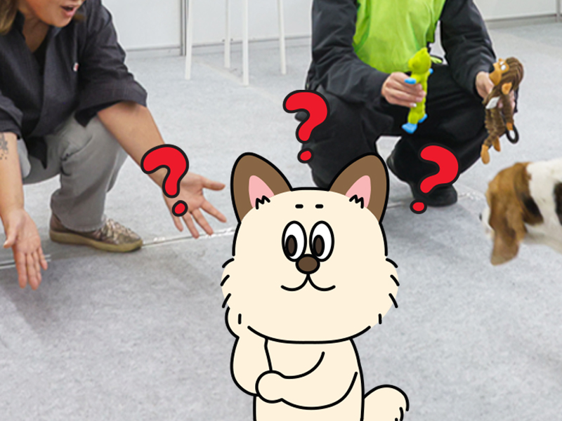 맞춰볼개 이미지