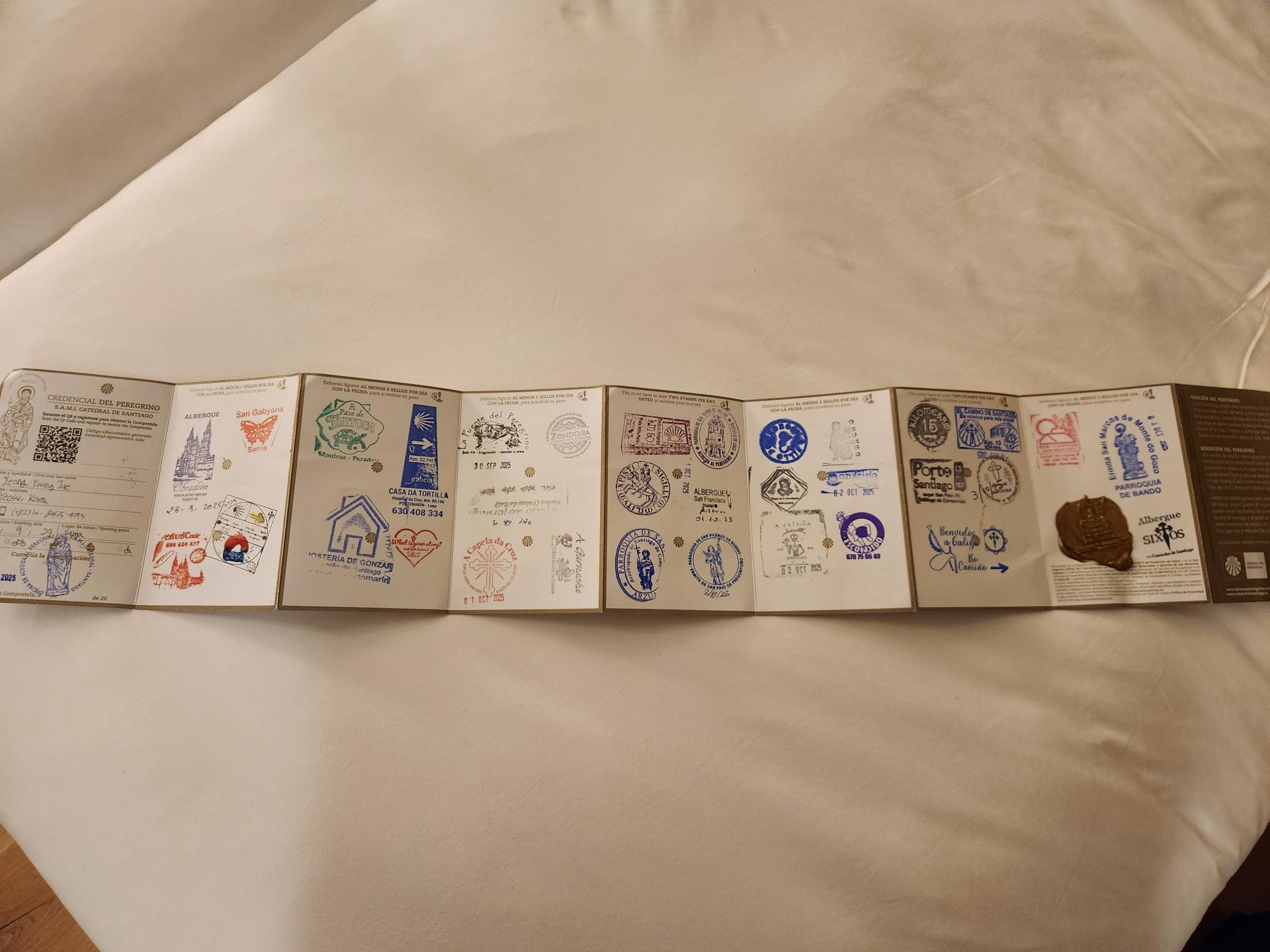 4913978ca7d40.jpg