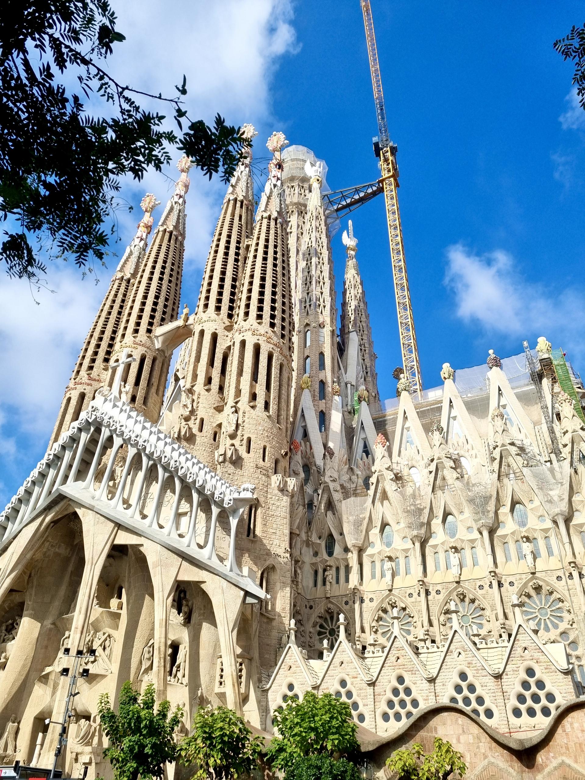 4fcb71705c122.jpeg