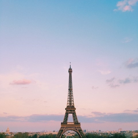 525503c329bf5.jpg