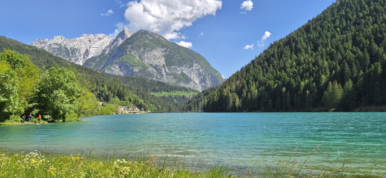6c082a5d75cb7.jpg