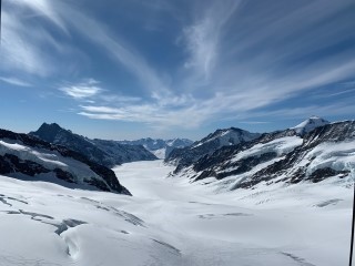 8b56ee77e6377.jpg