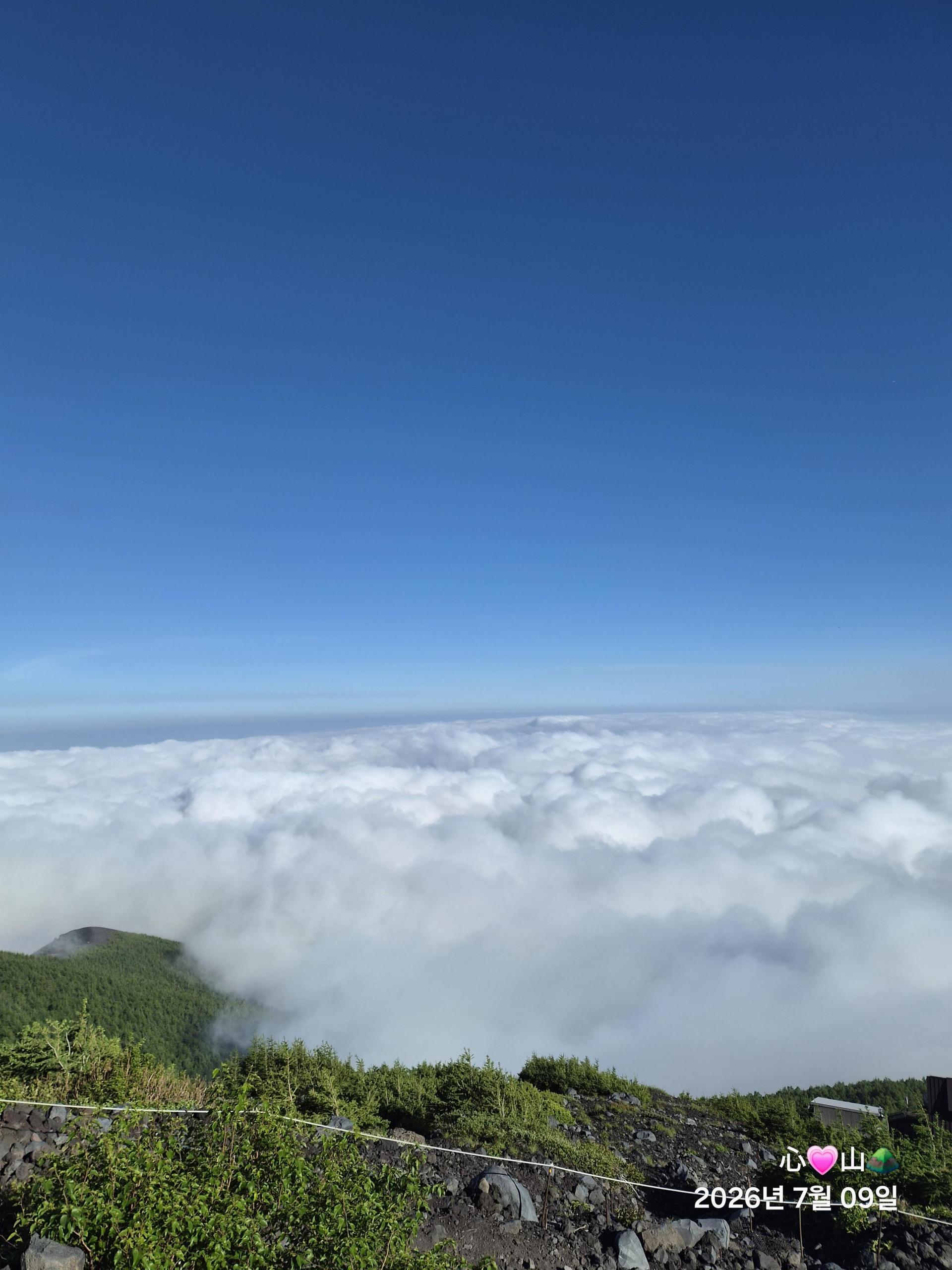 bfa7f152d6c5c.jpg