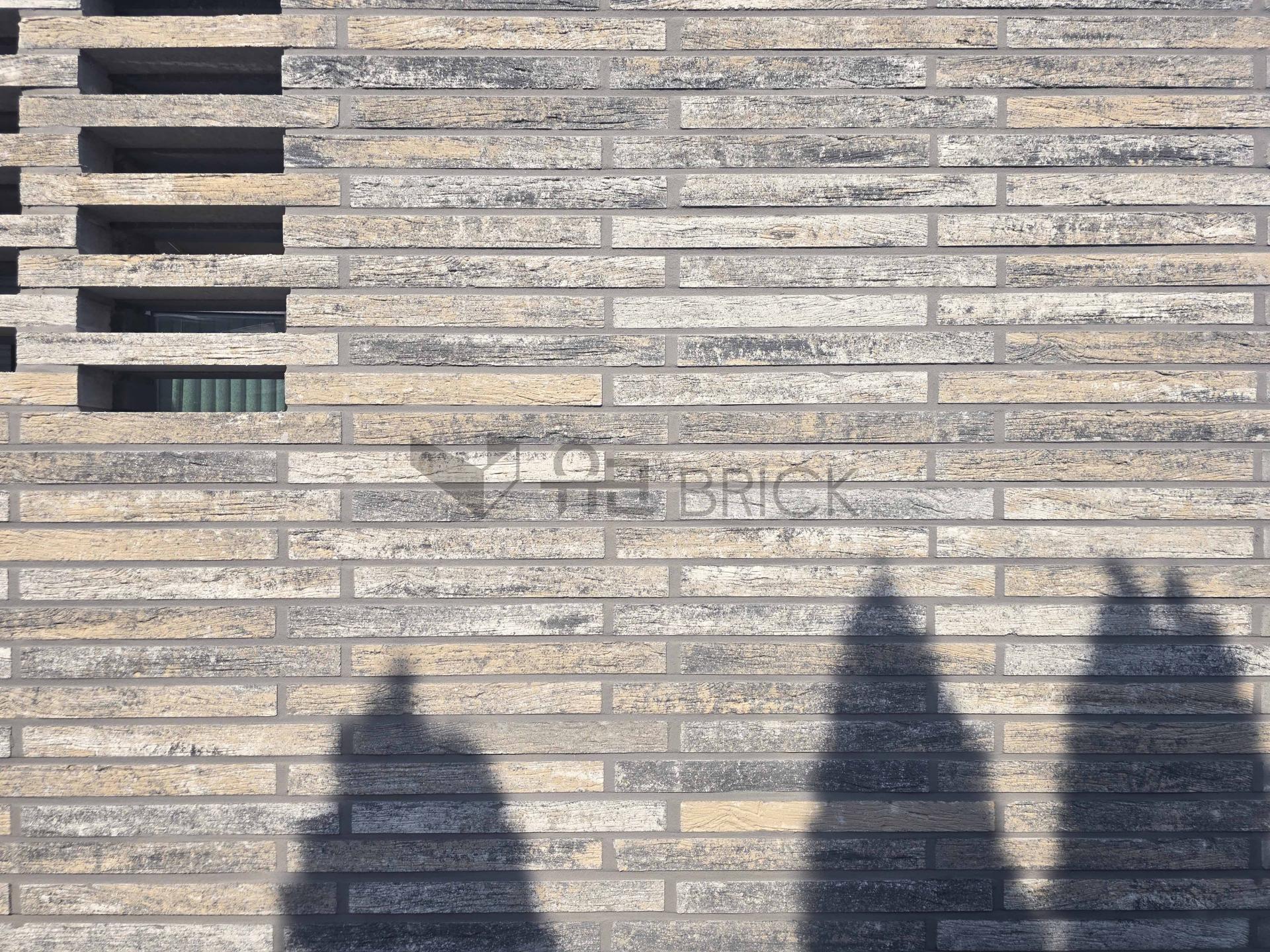 a314699f5c620.jpg