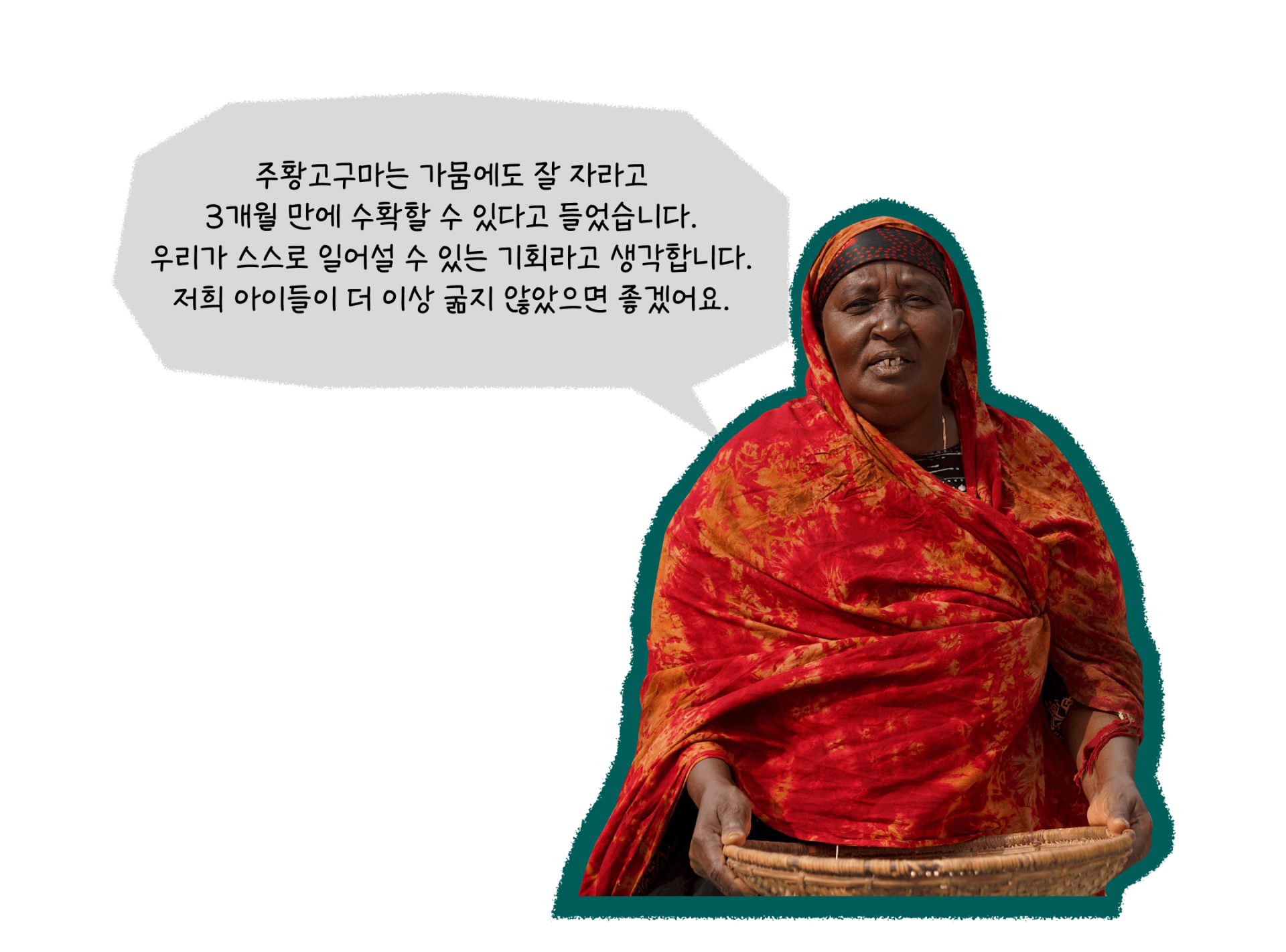 주황고구마는 가뭄에도 잘 자라고 3개월 만에 수확할 수 있다고 들었습니다. 우리가 스스로 일어설 수 있는 기회라고 생각합니다. 저희 아이들이 더 이상 굶지 않았으면 좋겠어요.