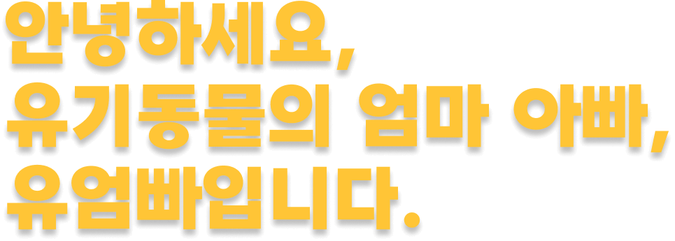 안녕하세요, 유엄빠입니다.