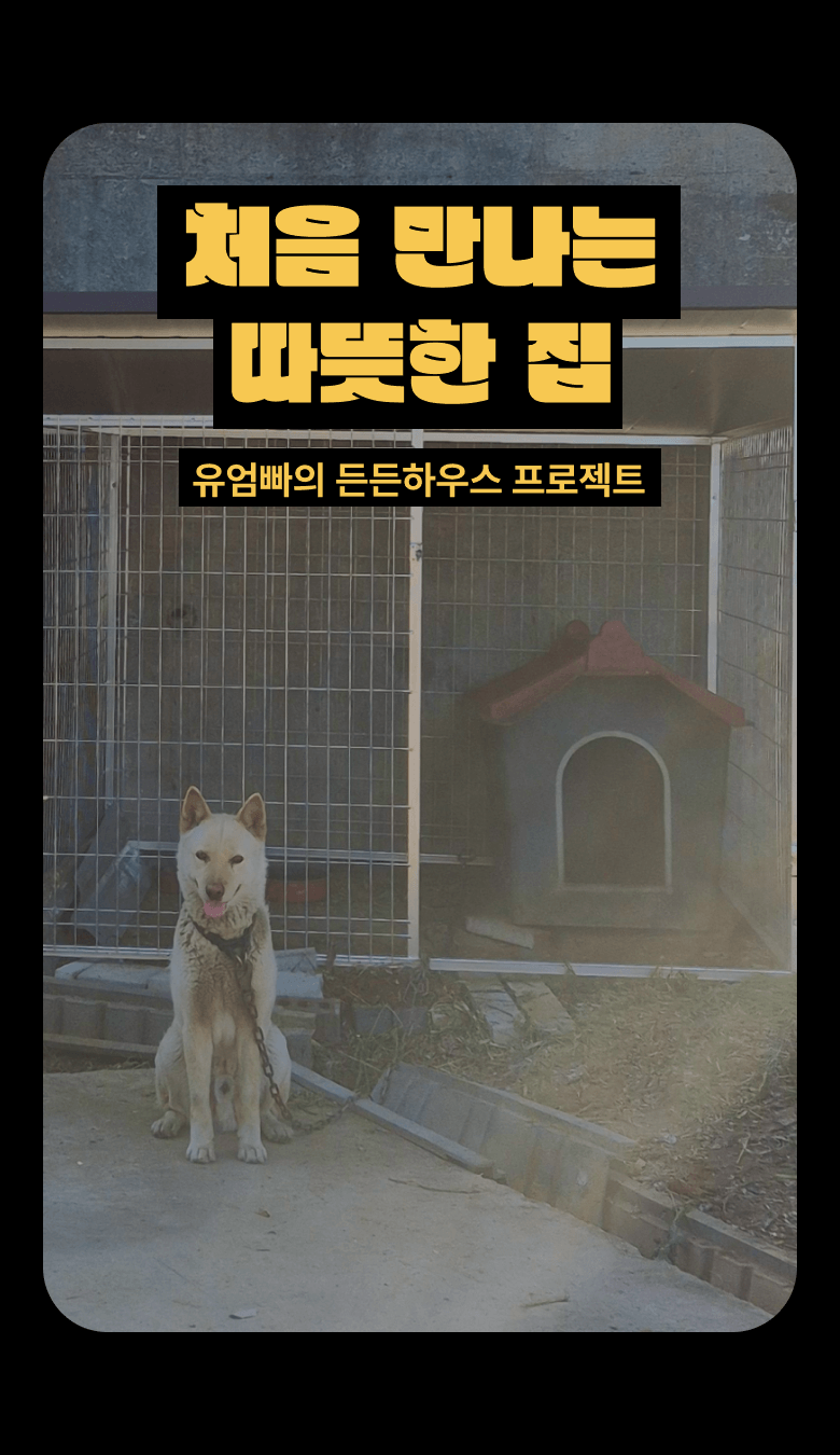 처음 만나는 따뜻한 집. 유엄빠의 든든하우스 프로젝트