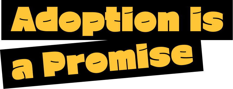 Adoption is a Promise