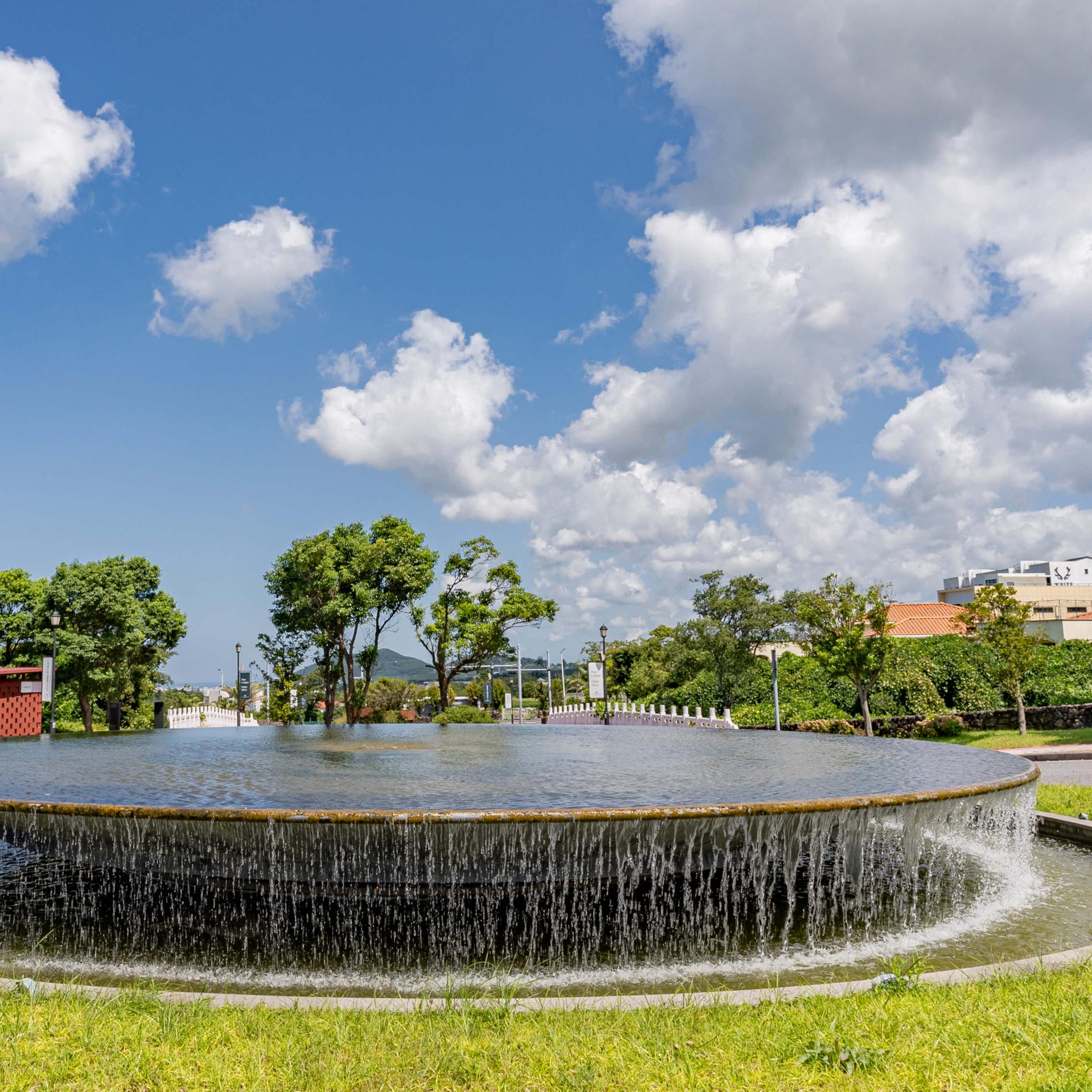 건물 터에 자리하던 나무