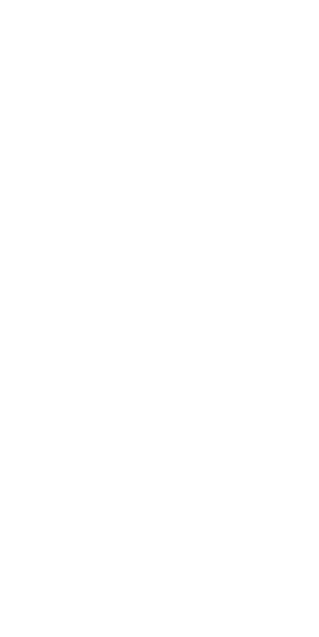 장식1