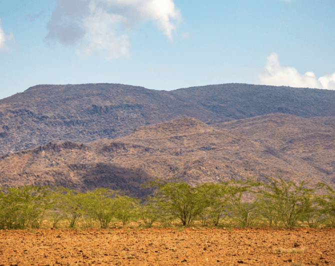 끝나지 않는 가뭄