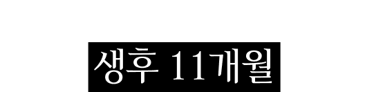캐시와 함께 구출된 아동의 나이 생후 11개월