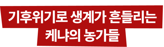 기후위기로 생계가 흔들리는 케냐의 농가들