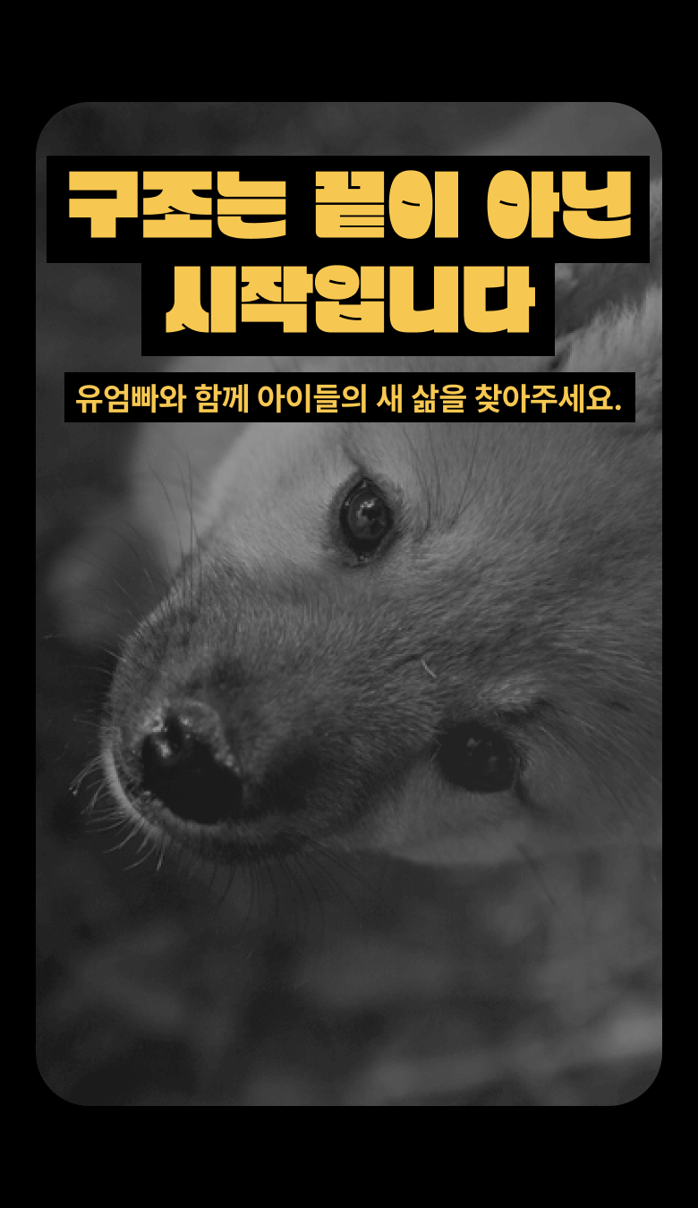 구조는 끝이 아닌 시작입니다. 유엄빠와 함께 아이들의 새 삶을 찾아주세요.