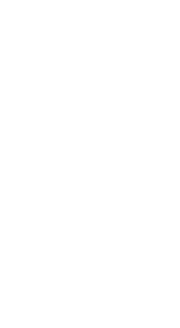 장식2