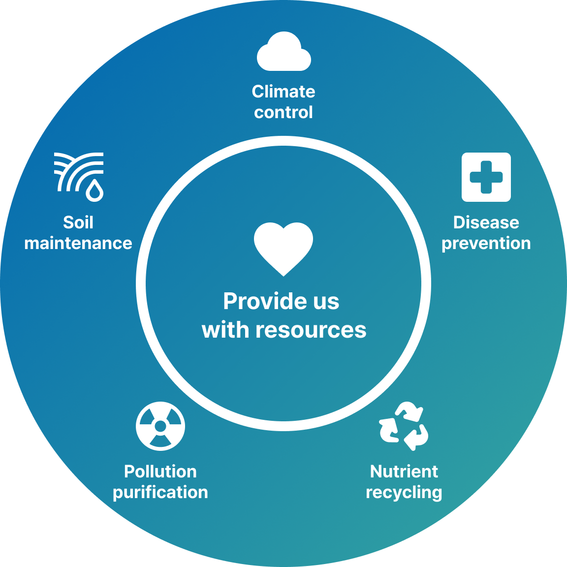 Climate control, Soil maintenance, Disease prevention, Pollution purification, Nutrient recycling, Provide us with resources