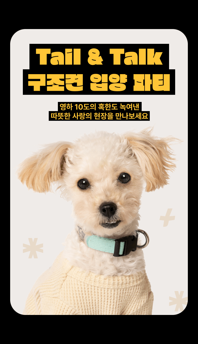 구조견 입양 파티