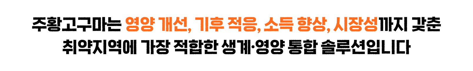 주황고구마는 영양 개선, 기후 적응, 소득 향상, 시장성까지 갖춘 취약지역에 가장 적합한 생계·영양 통합 솔루션입니다