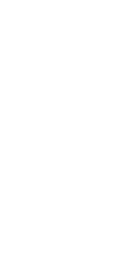 장식2