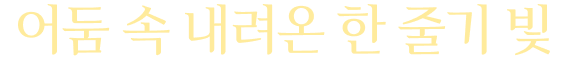 어둠 속 내려온 한 줄기 빛