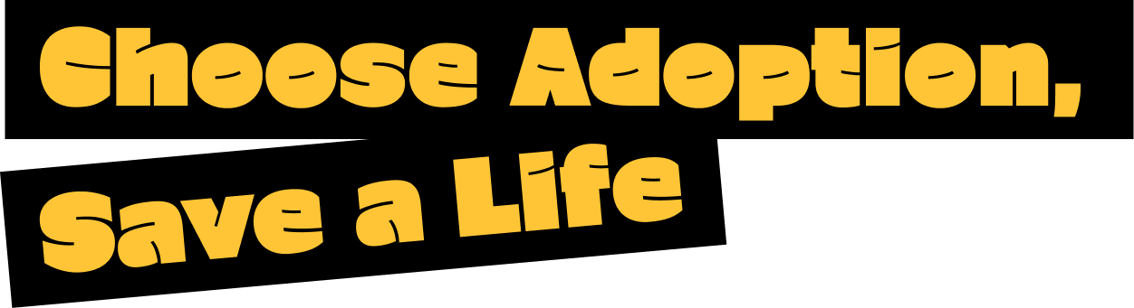 Choose Adoption, Save a Life
