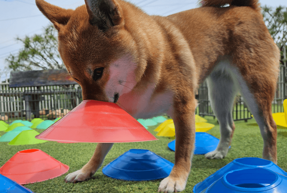 구조하고 있습니다