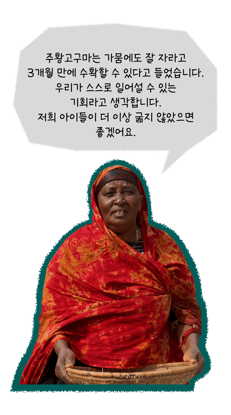 주황고구마는 가뭄에도 잘 자라고 3개월 만에 수확할 수 있다고 들었습니다. 우리가 스스로 일어설 수 있는 기회라고 생각합니다. 저희 아이들이 더 이상 굶지 않았으면 좋겠어요.