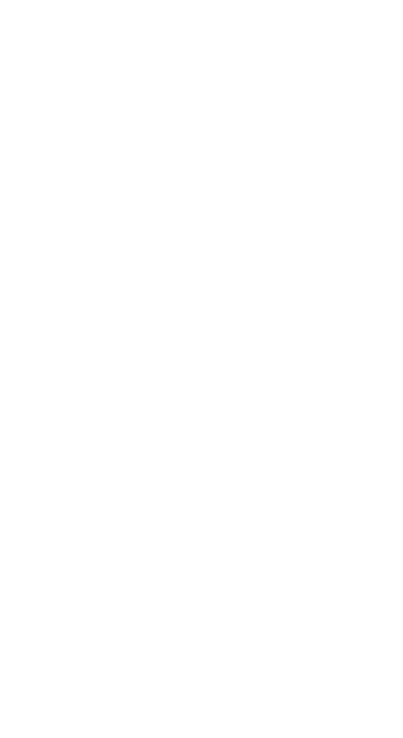 장식1