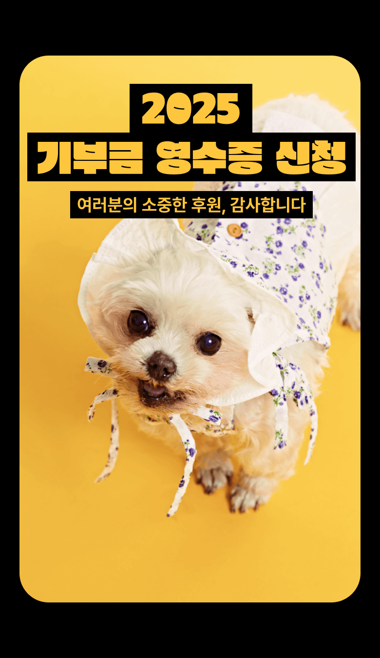 2025 기부금 영수증 신청