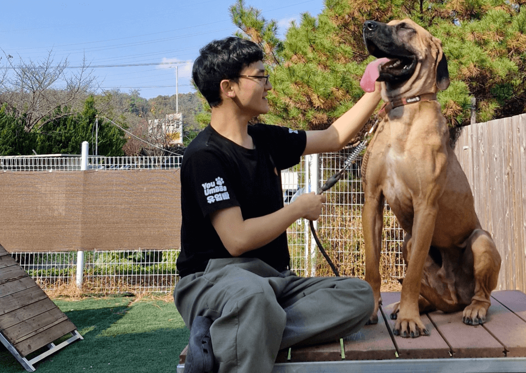구조하고 있습니다