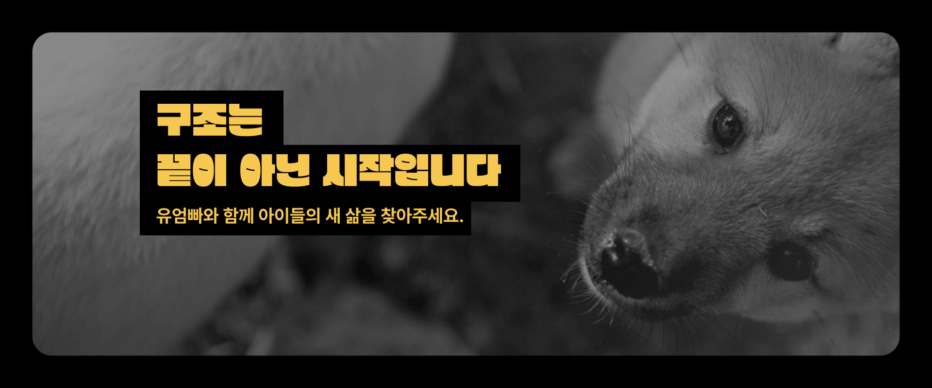 구조는 끝이 아닌 시작입니다. 유엄빠와 함께 아이들의 새 삶을 찾아주세요.