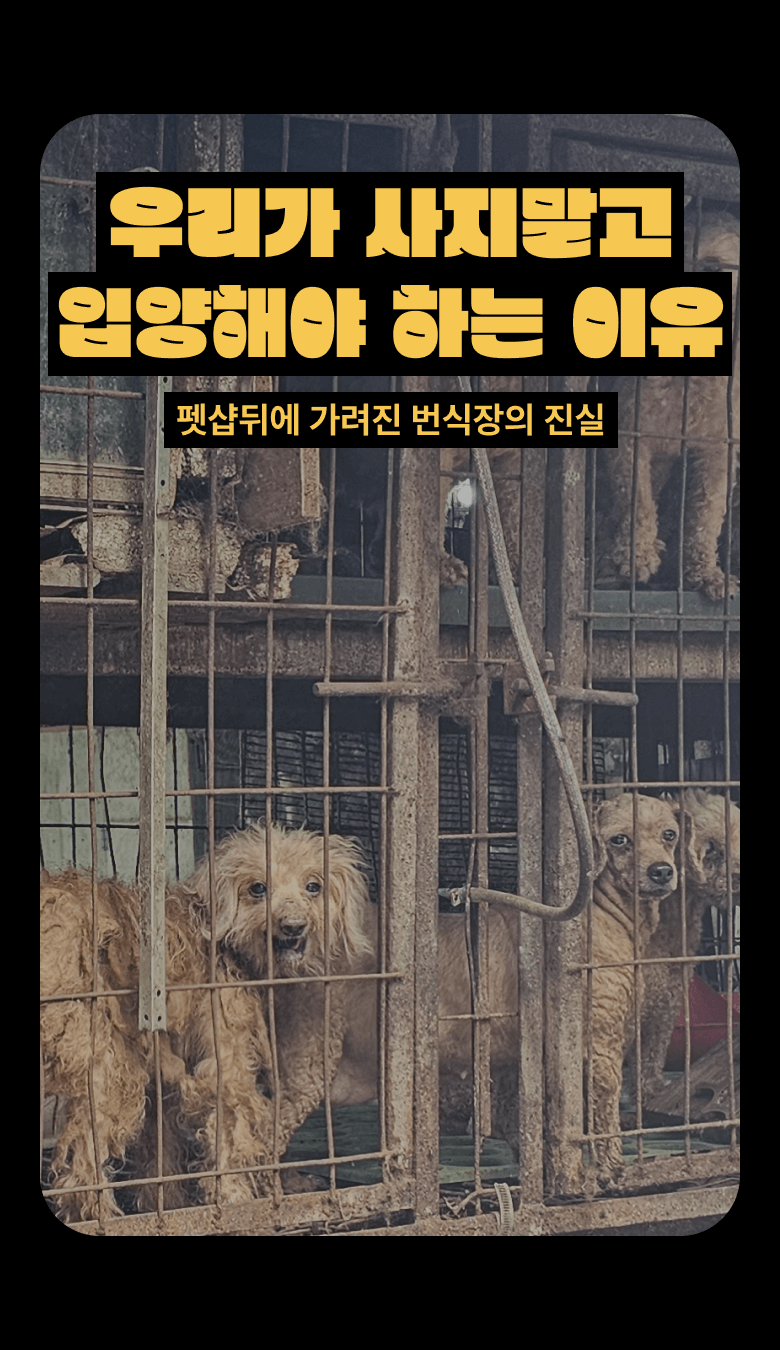 우리가 사지말고 입양해야 하는 이유. 펫샵뒤에 가려진 번식장의 진실