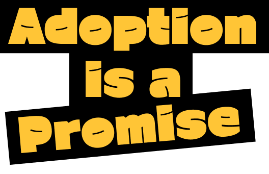Adoption is a Promise
