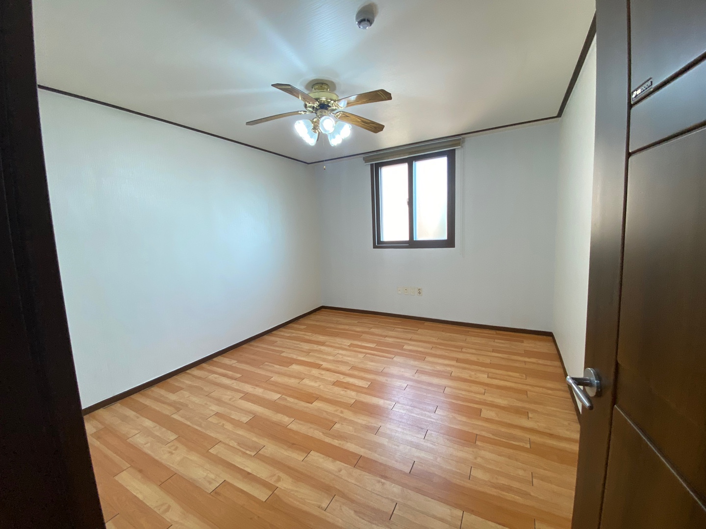 6f82b14660d20.jpg