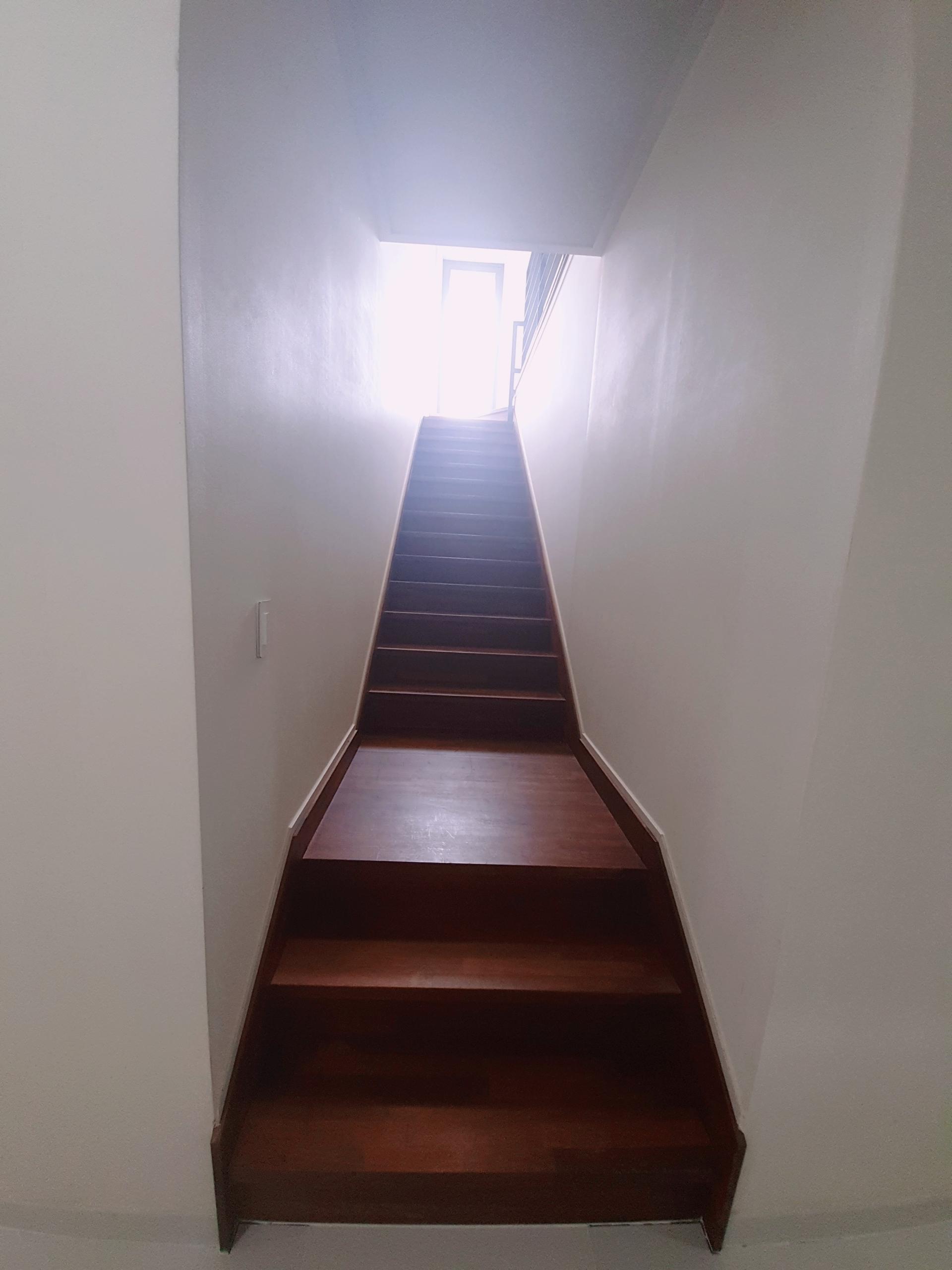 b462fe408eb07.jpg