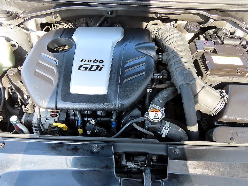 fe45cf9d517fc.jpg