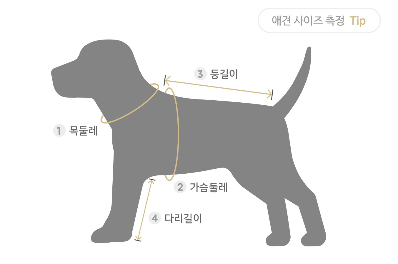 시고르자브종] 인공지능으로 강아지 사이즈 측정!!! : Openlab & Fablab Gwangju