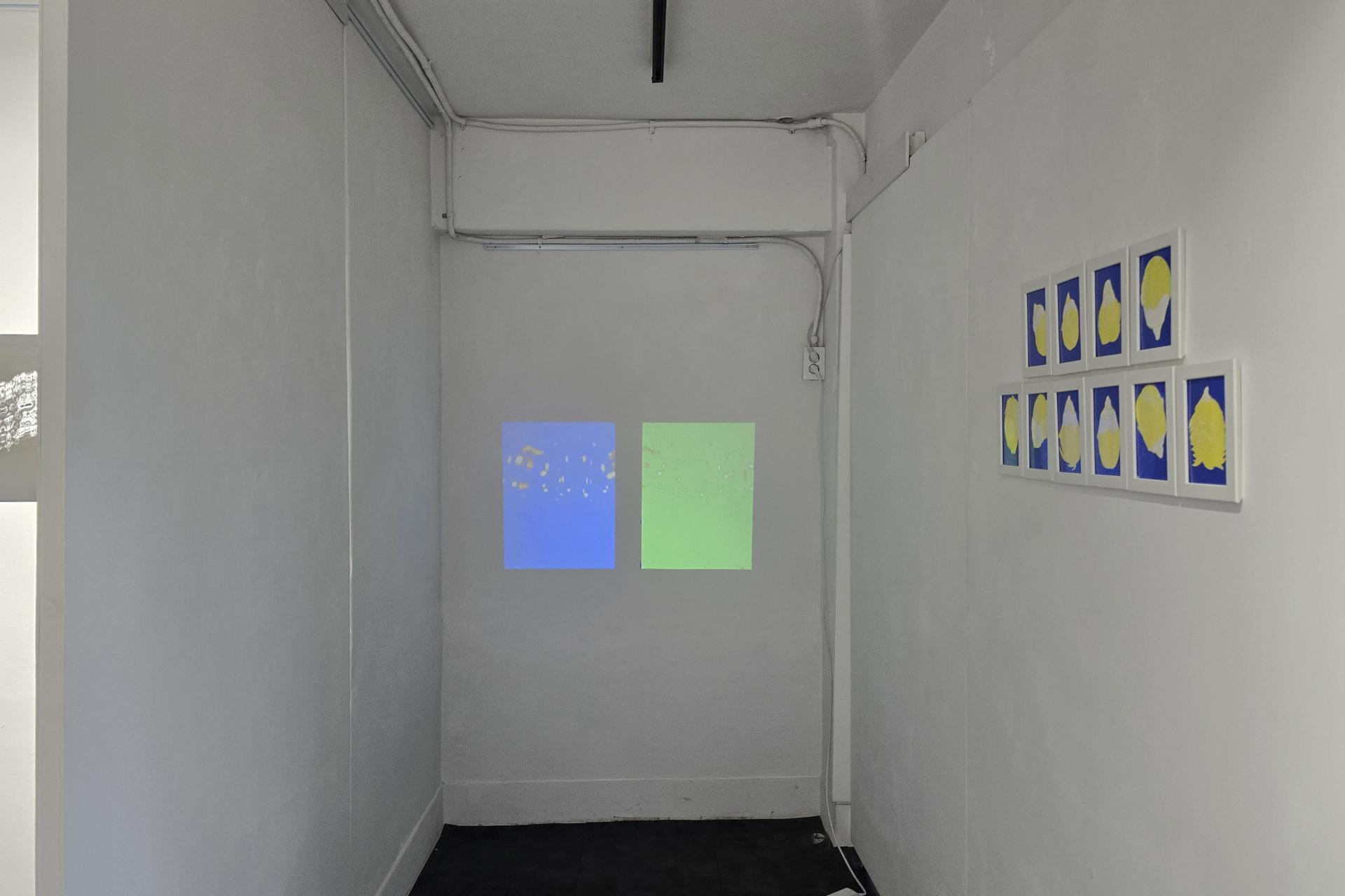 778a059190d50.jpg
