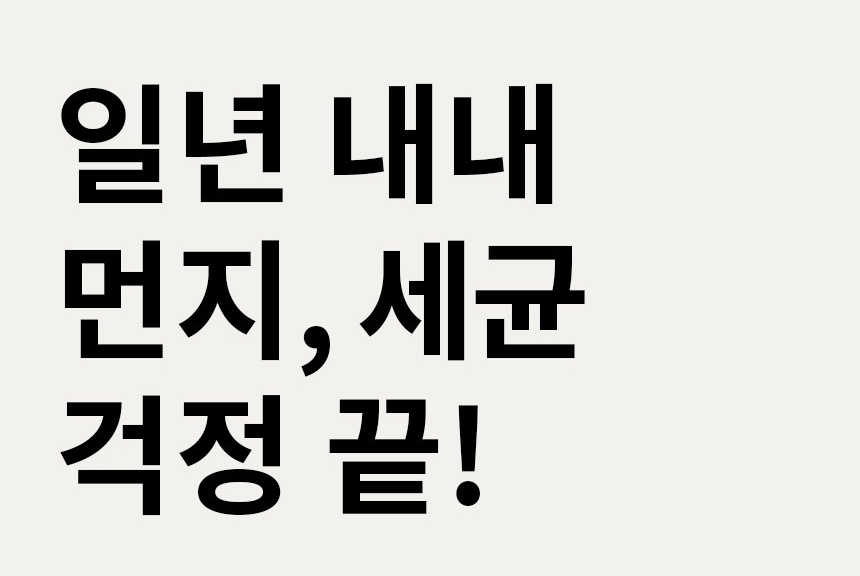 일년 내내 먼지, 세균 걱정 끝