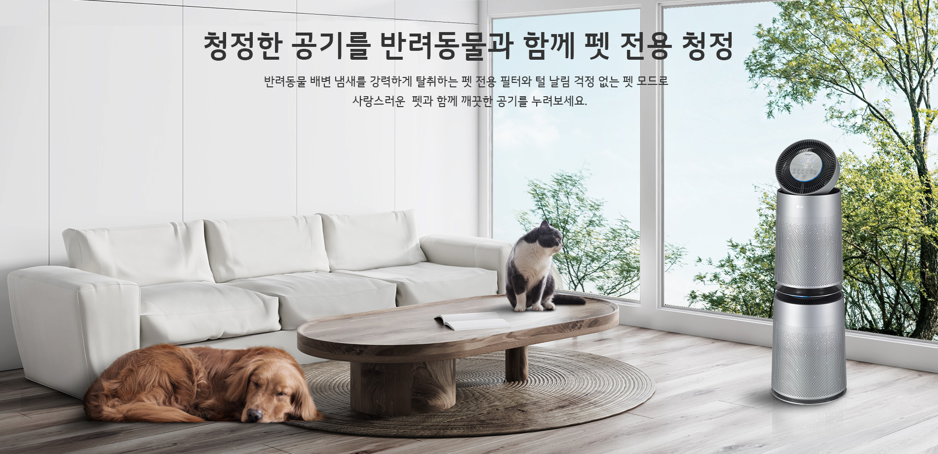 a753dde132078.png