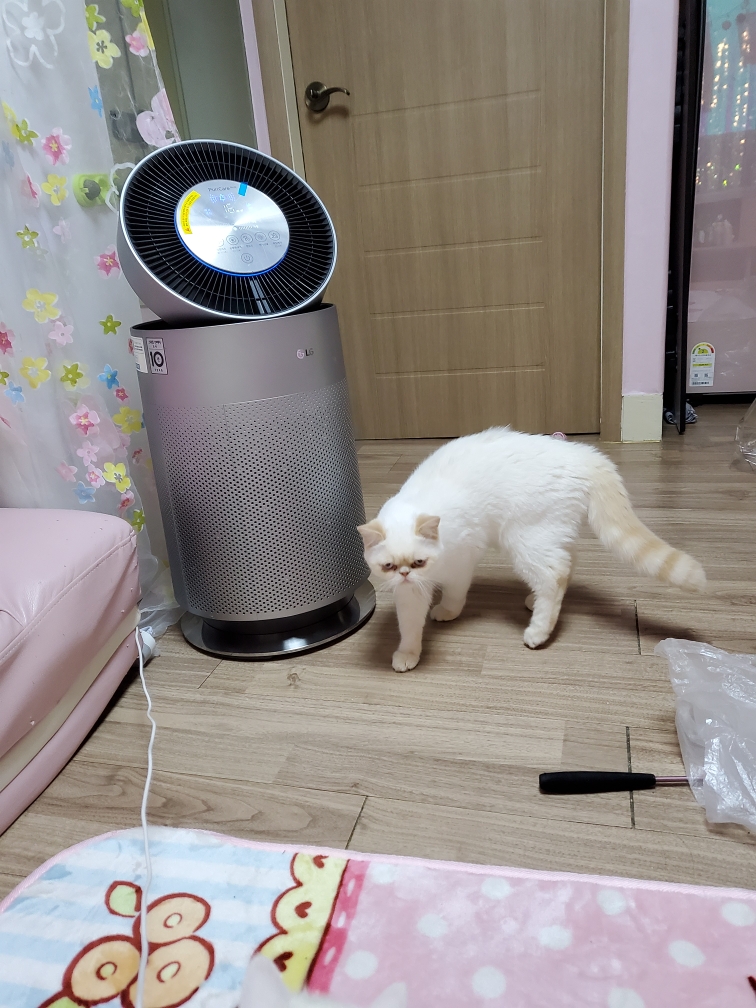 a8021337cd67b.jpg